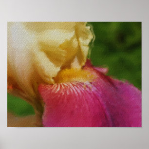 Gult Iris Petal Photo Painting Flower Art Poster