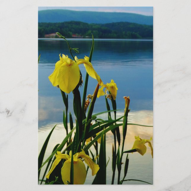 Gult Iris vid Sjö Shore (Framsida)