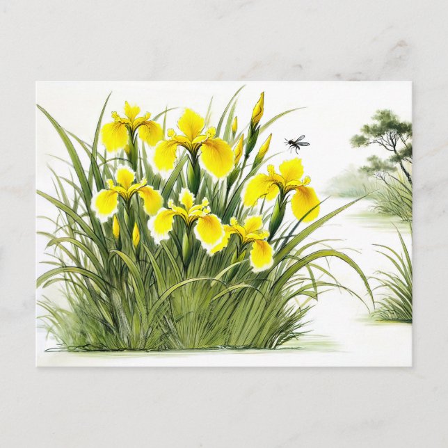 Gult Irises Asian Bläck Painting Helg Vykort (Framsida)