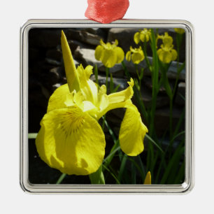 Gult Irises Bright Vår Blommigt Julgransprydnad Metall