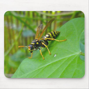 Gult Jacka Mousepad Musmatta