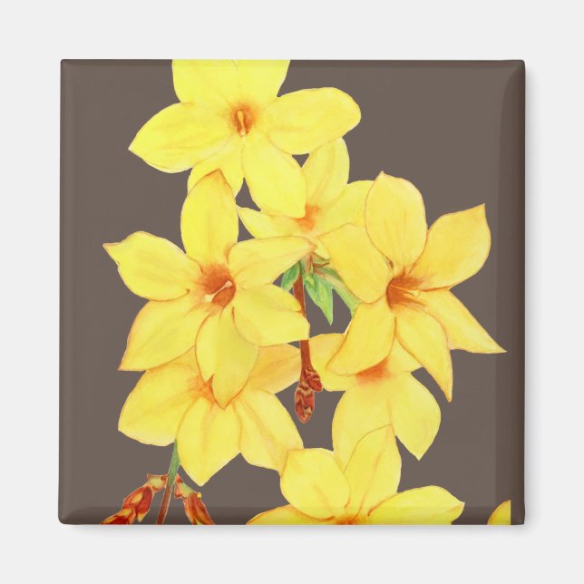 Gult Jasmine Flower Magnet | Vattenfärgskonst (Framsidan)