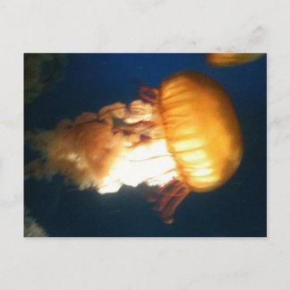 Gult Jellyfish Vykort