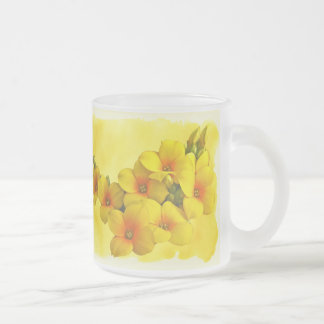 Gult Kalanchoe - Succulent Sunshine Frostad Glasmugg