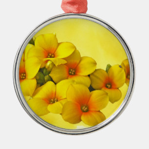 Gult Kalanchoe - Succulent Sunshine Julgransprydnad Metall