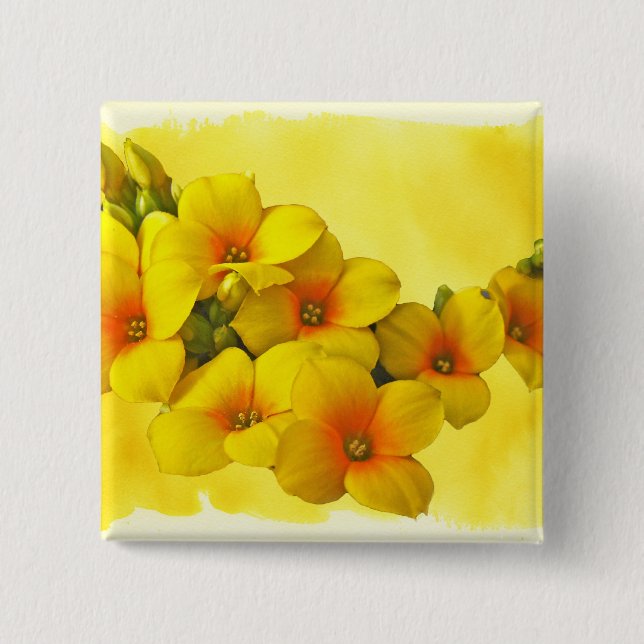 Gult Kalanchoe - Succulent Sunshine Knapp (Framsida)