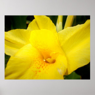 Gult kan poster ljusblomma