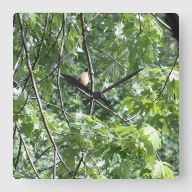 Gult kardinal fyrkantig klocka (Framsida)