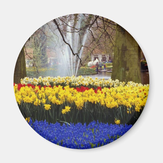 gult Keukenhof trädgårdens, Amsterdam, Nederländer Magnet (Framsidan)