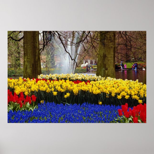 gult Keukenhof trädgårdens, Amsterdam, Nederländer Poster (Framsidan)