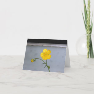 Gult-knapp-blomma Helgkort