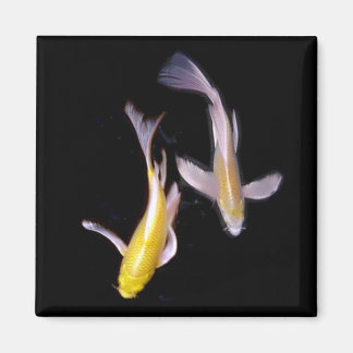 Gult Koi Pair Magnet