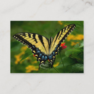 Gult kort för ATC för tigerSwallowtail fjäril