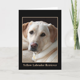 Gult kort för hälsning för Labrador Retriever