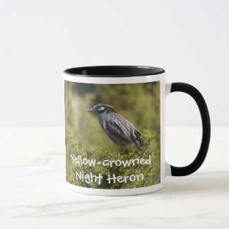 Gult-kronad Natten Heron Mugg
