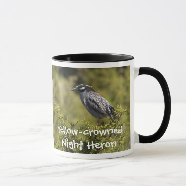 Gult-kronad Natten Heron Mugg (Höger)