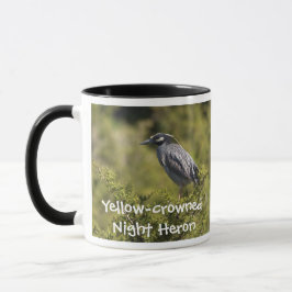 Gult-kronad Natten Heron Mugg