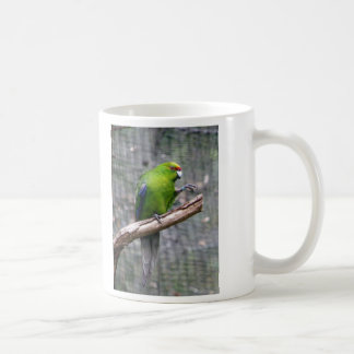 Gult-krönad parakiter kaffemugg