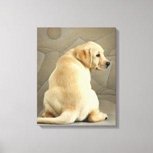 Gult Labour Retriever Puppy Canvastryck