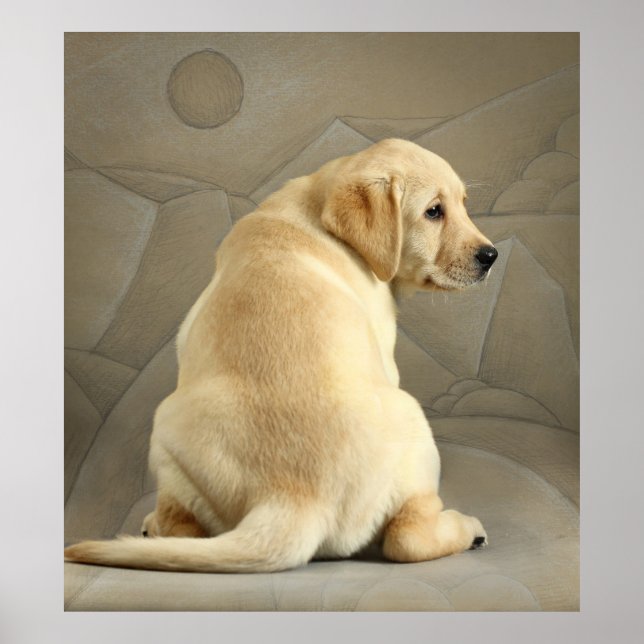 Gult Labour Retriever Puppy Poster (Framsidan)
