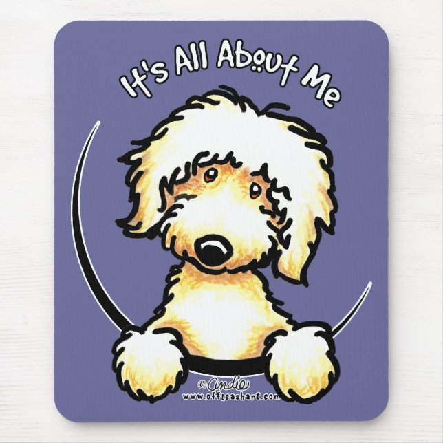 Gult Labradoodle IAAM Musmatta (Framsidan)