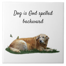 Gult Labrador Blandras Ceramic Tile Kakelplatta