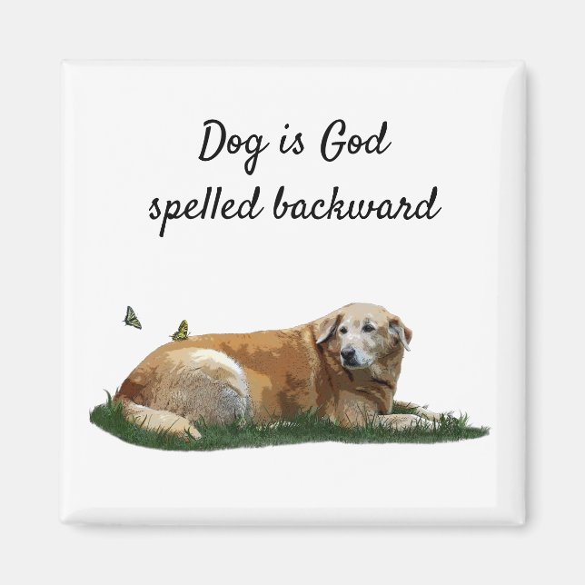 Gult Labrador Blandras Magnet (Framsidan)