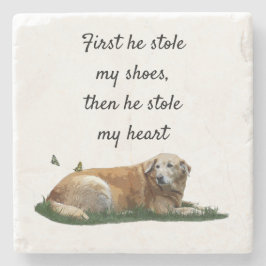 Gult Labrador Blandras Stone Underlägg