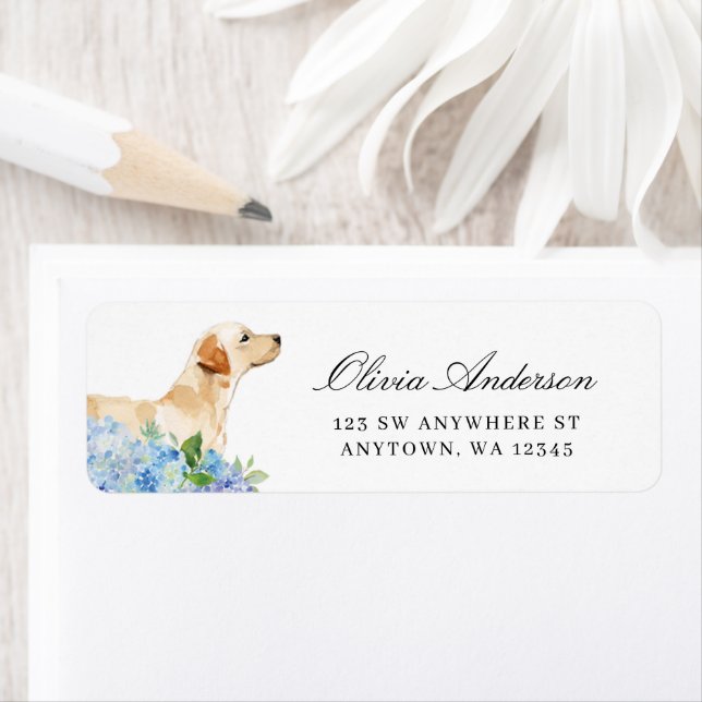 Gult Labrador Blue Hydrangea Returadress Etikett (Insitu)