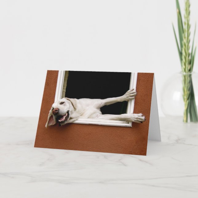 Gult Labrador-hälsningskort Kort (Framsida)