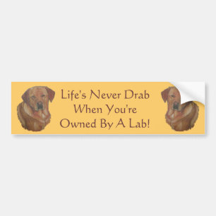 gult labrador hämtar hund porträtt art slogan bildekal