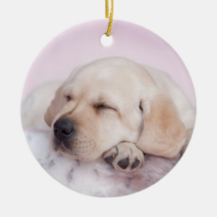 Gult labrador, hämtning av valp julgransprydnad keramik