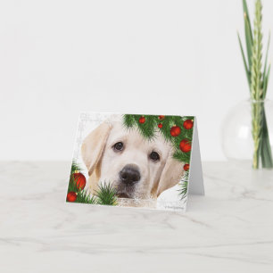 Gult Labrador-julkort Helgkort