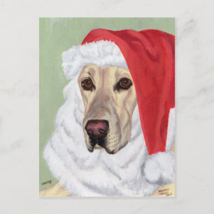 Gult Labrador-jultomtkort Helg Vykort