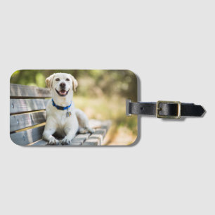 Gult Labrador Lays på Bench Bagagebricka