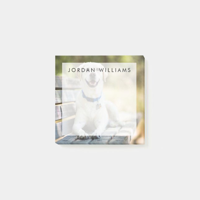 Gult Labrador Lays på Bench Post-it Block (Framsida)