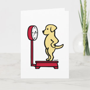 Gult Labrador på Kort