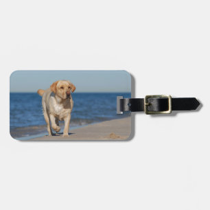 Gult labrador på stranden bagagebricka