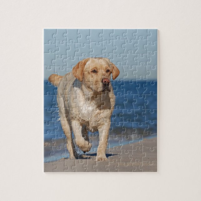 Gult labrador på stranden pussel (Vertikal)