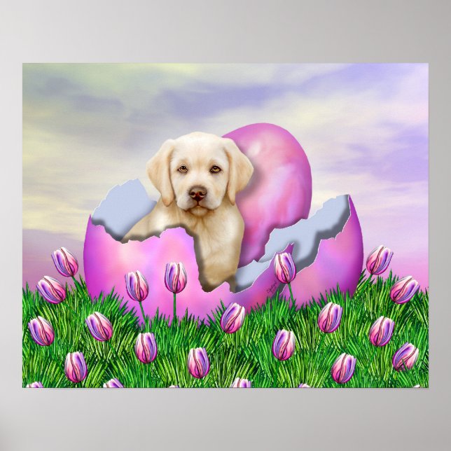 Gult Labrador Påsk Surprise Poster (Framsidan)