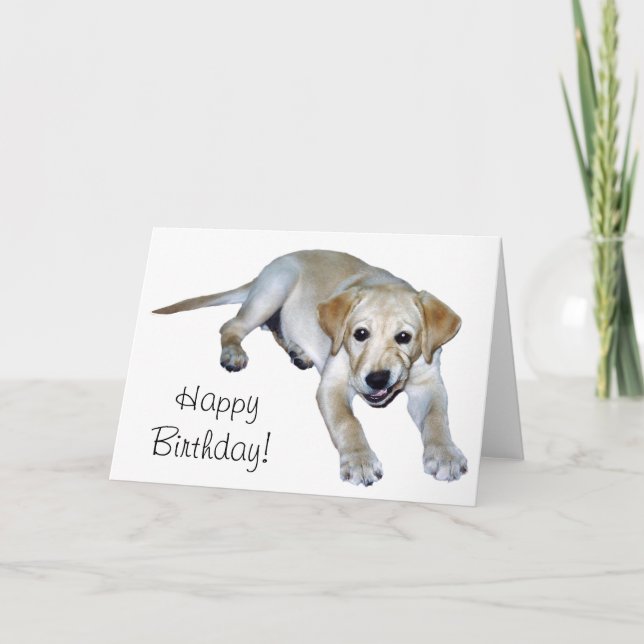 Gult Labrador Puppy Card Kort (Framsida)