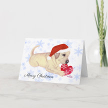 Gult Labrador Puppy jul Snowflake