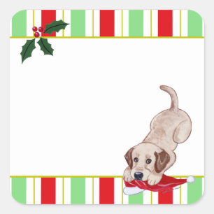 Gult Labrador Puppy & Santa Hat jul Fyrkantigt Klistermärke