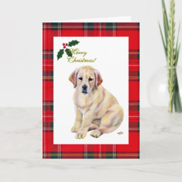 Gult Labrador Puppy Tartan jul Helgkort