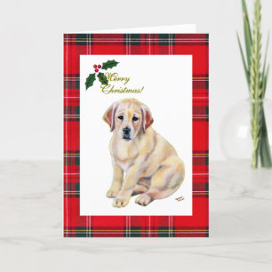 Gult Labrador Puppy Tartan jul Helgkort