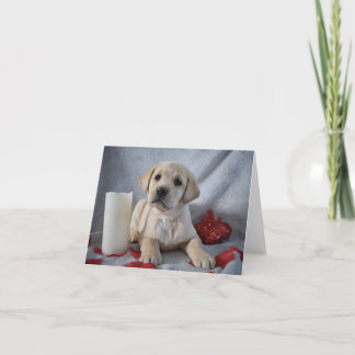 Gult Labrador Puppy Valentines day Tack Kort