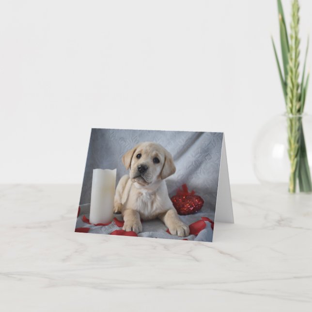 Gult Labrador Puppy Valentines day Tack Kort (Framsida)