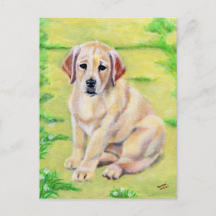Gult Labrador Puppy Vykort