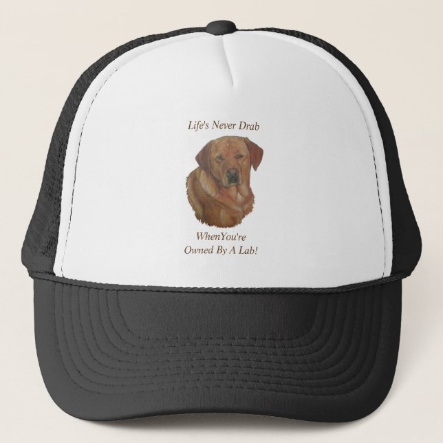 gult labrador retretretretretreparation hund rolig keps (Framsida)