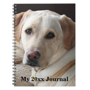 Gult Labrador Retriever Anteckningsbok